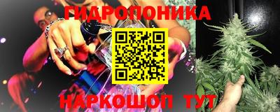мет Новозыбков