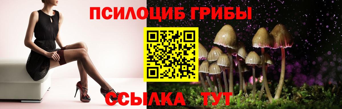 Галлюциногенные грибы Psilocybe  Вход с VPN  Троицк  Галлюциногенные грибы мухоморы 